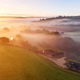 Dreams in Bloom: Wales Retreat, March 2026